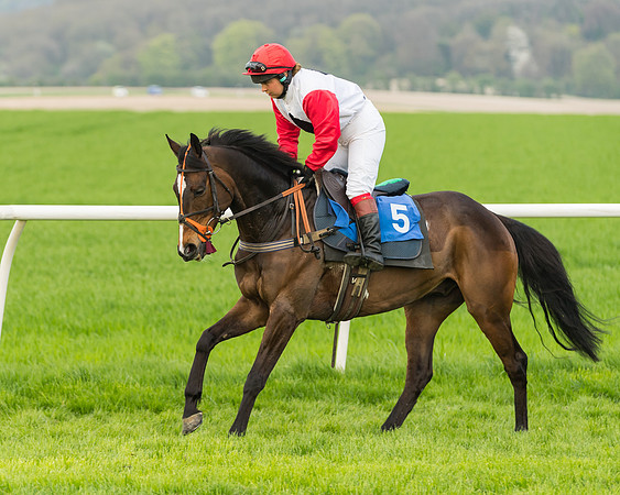 Kimblewick Easter Meeting 2017