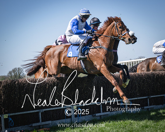 Race 2 - The Maiden (75 of 118)