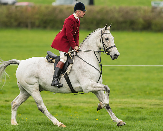 Pytchley Meeting 2018