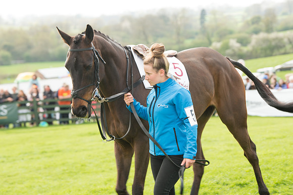 The Restricted Race at the Pytchley Meeting 2018