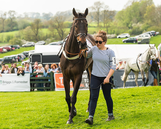 The Restricted Race at the Pytchley Meeting 2018