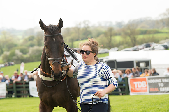 The Restricted Race at the Pytchley Meeting 2018