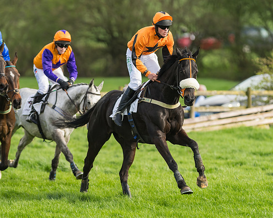 The Restricted Race at the Pytchley Meeting 2018