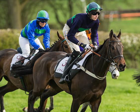 The Restricted Race at the Pytchley Meeting 2018