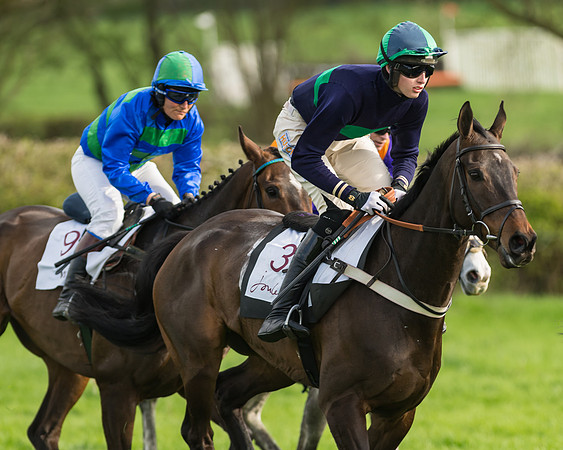 The Restricted Race at the Pytchley Meeting 2018