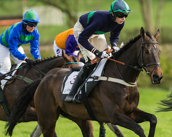 The Restricted Race at the Pytchley Meeting 2018
