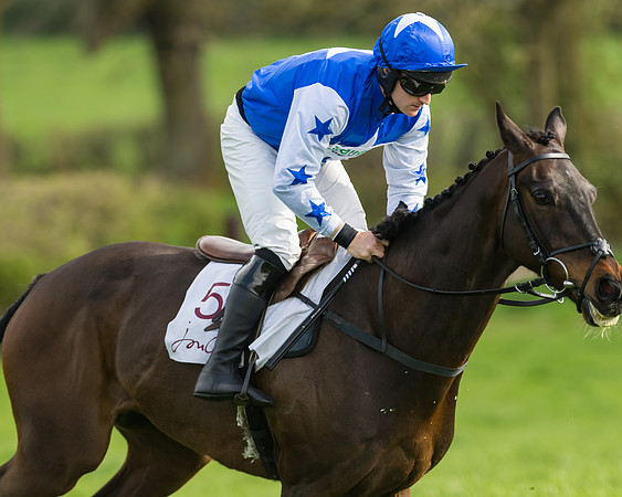 The Restricted Race at the Pytchley Meeting 2018