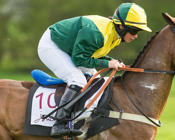 The Restricted Race at the Pytchley Meeting 2018