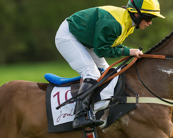 The Restricted Race at the Pytchley Meeting 2018