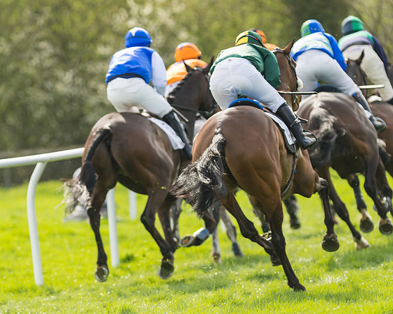 The Restricted Race at the Pytchley Meeting 2018
