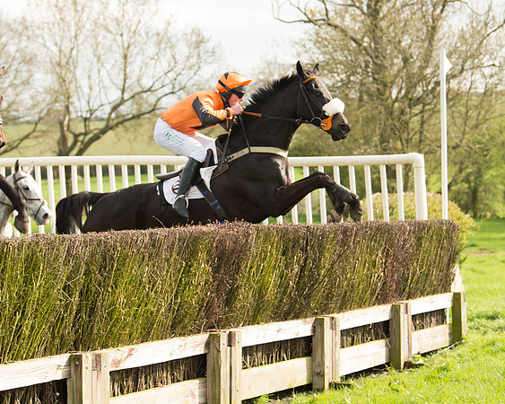 The Restricted Race at the Pytchley Meeting 2018