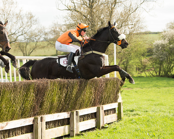 The Restricted Race at the Pytchley Meeting 2018