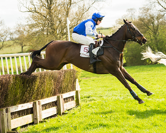 The Restricted Race at the Pytchley Meeting 2018