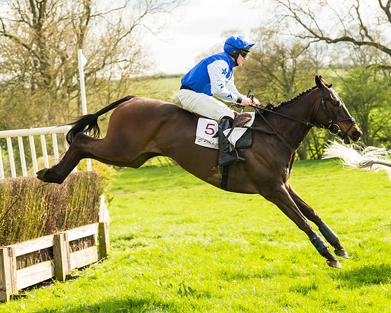 The Restricted Race at the Pytchley Meeting 2018