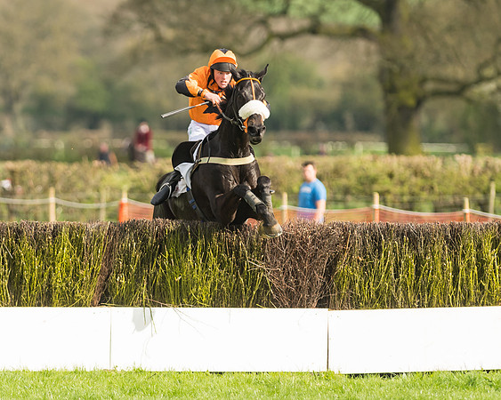 The Restricted Race at the Pytchley Meeting 2018