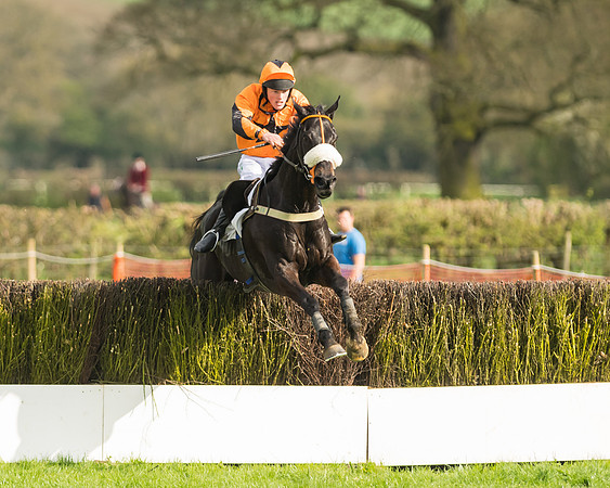 The Restricted Race at the Pytchley Meeting 2018