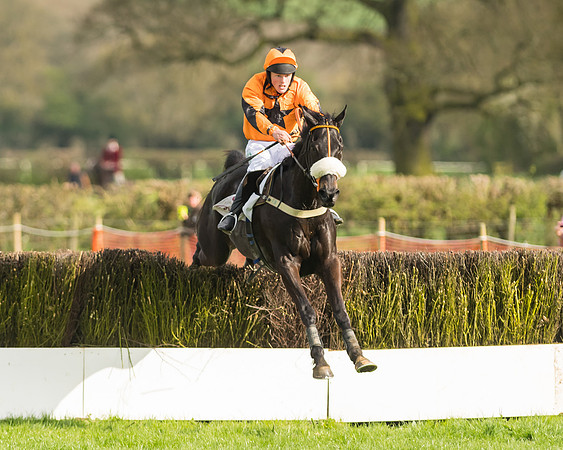 The Restricted Race at the Pytchley Meeting 2018
