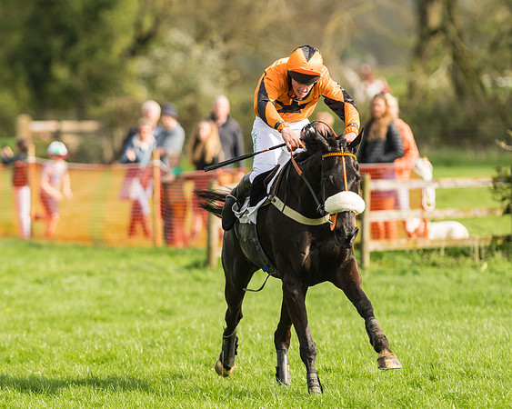 The Restricted Race at the Pytchley Meeting 2018