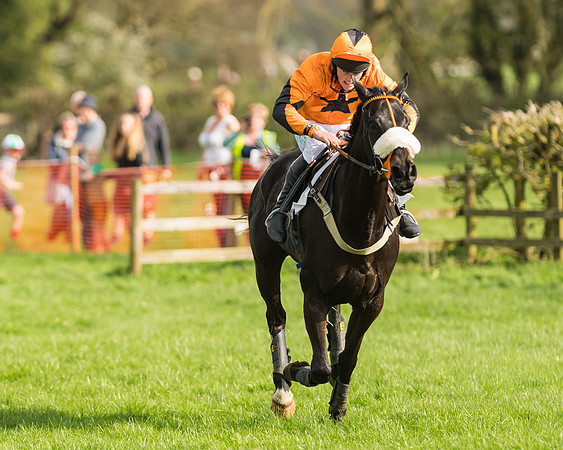 The Restricted Race at the Pytchley Meeting 2018