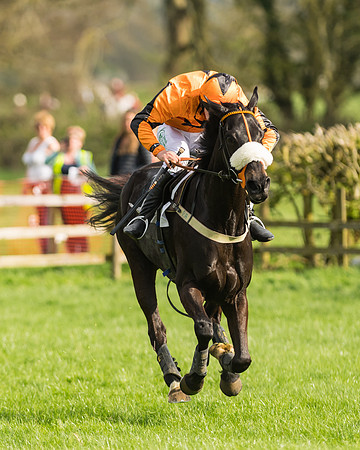The Restricted Race at the Pytchley Meeting 2018