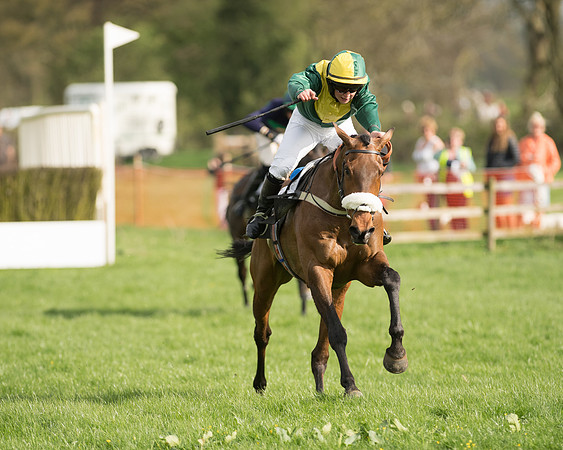 The Restricted Race at the Pytchley Meeting 2018