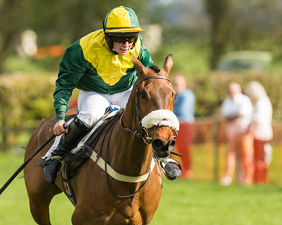 The Restricted Race at the Pytchley Meeting 2018