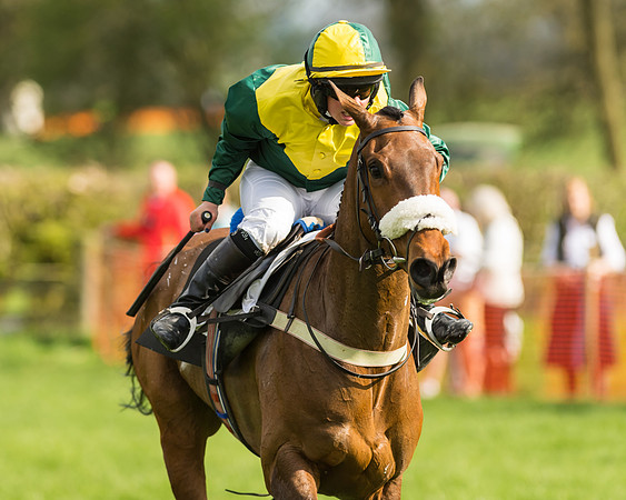 The Restricted Race at the Pytchley Meeting 2018