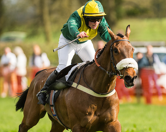 The Restricted Race at the Pytchley Meeting 2018