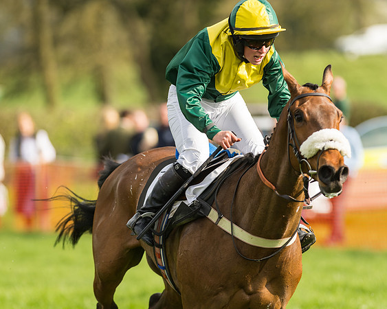 The Restricted Race at the Pytchley Meeting 2018