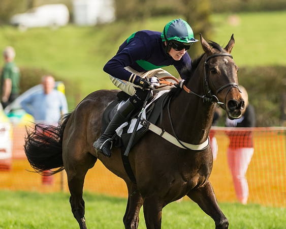 The Restricted Race at the Pytchley Meeting 2018