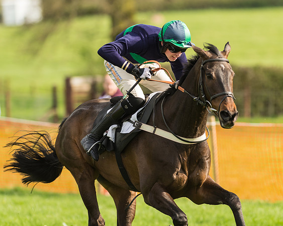 The Restricted Race at the Pytchley Meeting 2018