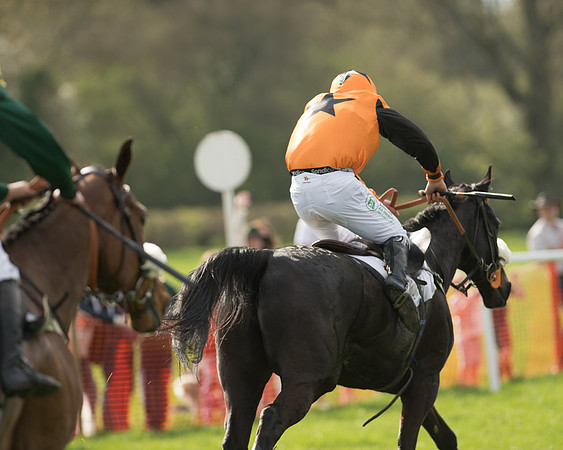 The Restricted Race at the Pytchley Meeting 2018