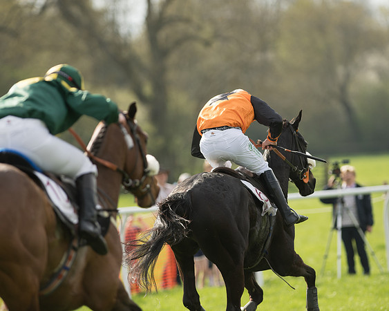 The Restricted Race at the Pytchley Meeting 2018