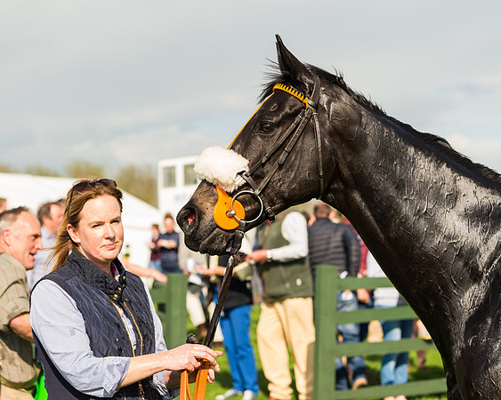 The Restricted Race at the Pytchley Meeting 2018