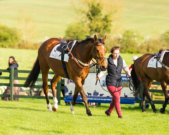 Novice riders at the Pytchley Meeting 2018