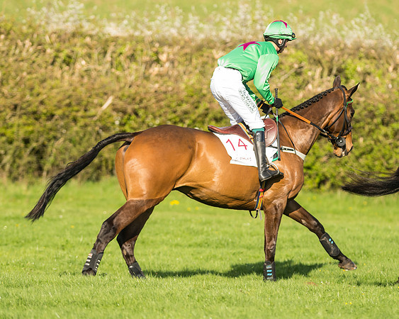 Novice riders at the Pytchley Meeting 2018