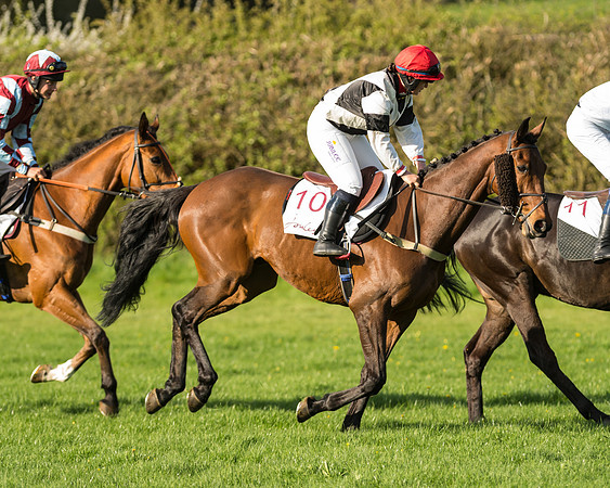 Novice riders at the Pytchley Meeting 2018