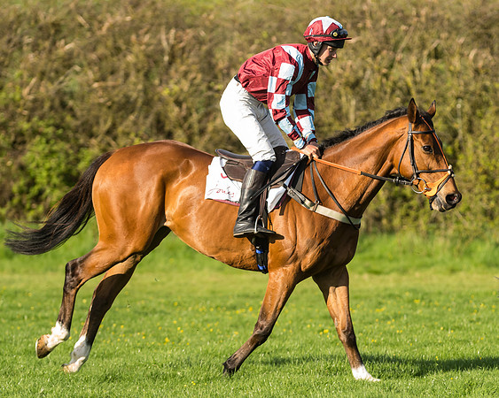 Novice riders at the Pytchley Meeting 2018
