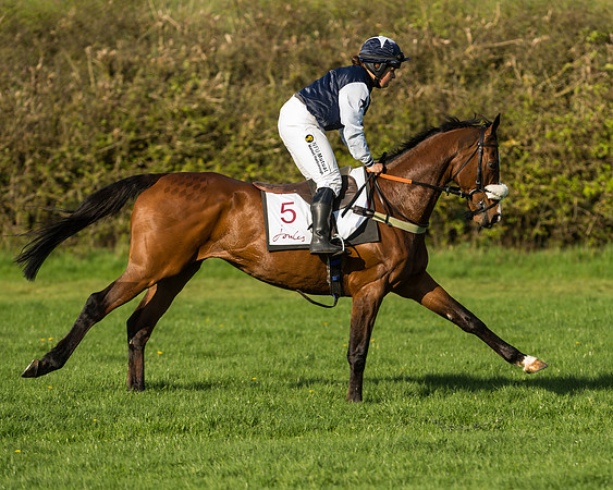 Race 7 - PPORA Novice Riders Race (22 of 114)