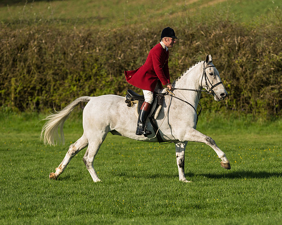 Race 7 - PPORA Novice Riders Race (23 of 114)