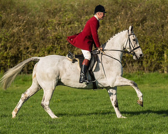 Race 7 - PPORA Novice Riders Race (24 of 114)