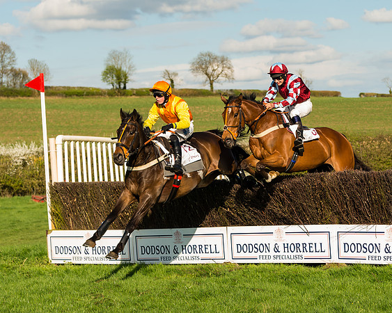 Race 7 - PPORA Novice Riders Race (27 of 114)
