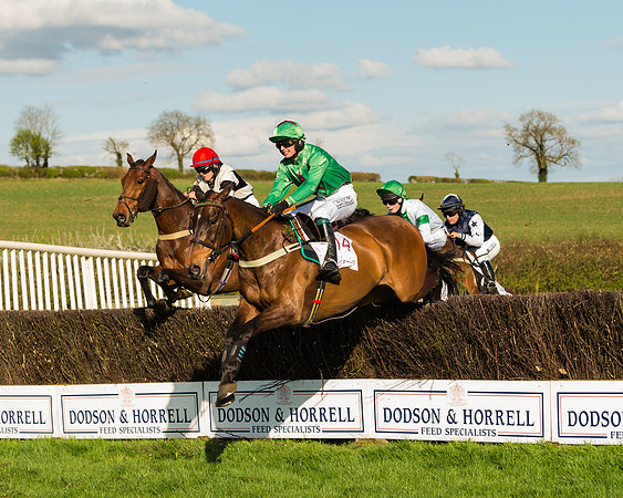 Race 7 - PPORA Novice Riders Race (31 of 114)