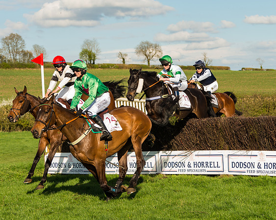 Race 7 - PPORA Novice Riders Race (33 of 114)