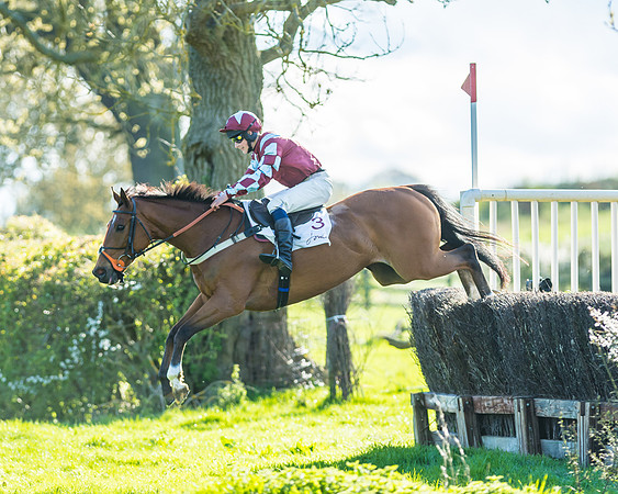 Race 7 - PPORA Novice Riders Race (38 of 114)