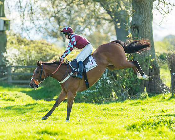 Race 7 - PPORA Novice Riders Race (40 of 114)
