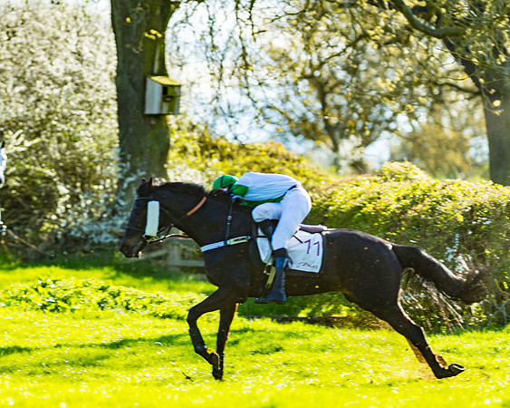 Race 7 - PPORA Novice Riders Race (50 of 114)