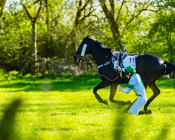 Race 7 - PPORA Novice Riders Race (52 of 114)