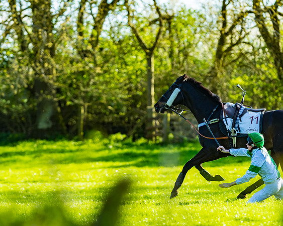 Race 7 - PPORA Novice Riders Race (53 of 114)