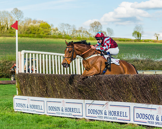 Race 7 - PPORA Novice Riders Race (54 of 114)